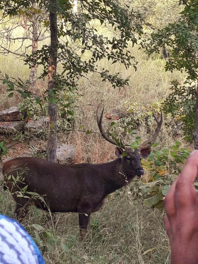 Sadhna Sadan Homestay Panna Madla Bagian luar foto